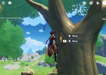 Маршруты фарма яиц в Модштадте