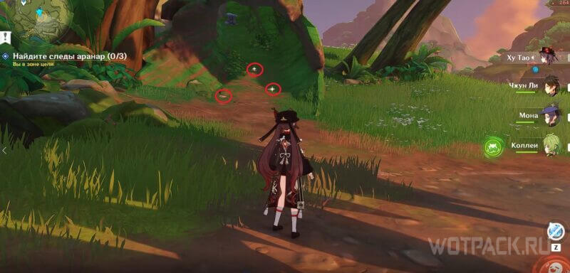 Следы аранар