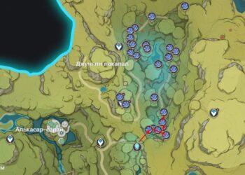 Гриб руккхашава в Лесу Мотийимы Genshin Impact