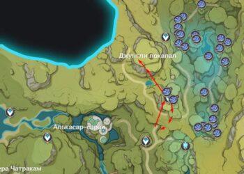 Гриб руккхашава в Лесу Мотийимы Genshin Impact