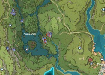 Грибы руккхашава в Земля Ашаван Чаща Апам в Genshin Impact