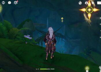 Гриб руккхашава в Ванаране в Genshin Impact