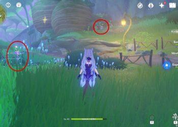 Цветки 29 и 30