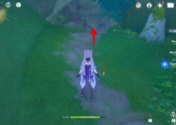 Куда идти (Древо снов)