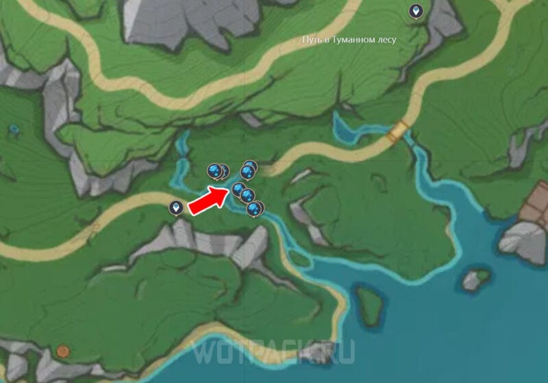 Все Лилии в локации Путь в Туманном лесу