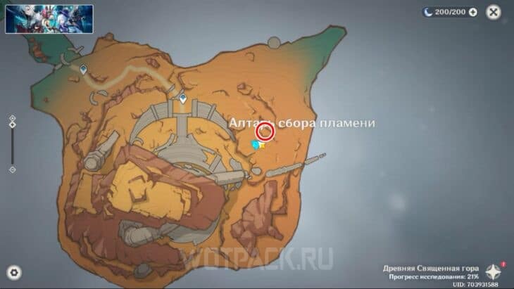 Область загадки для Пирокула 205