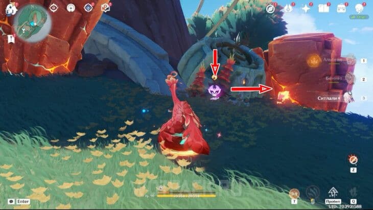 Пирокул 206 за камнем