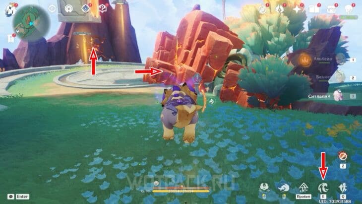 Загадка для сбора Пирокула 206